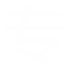 专